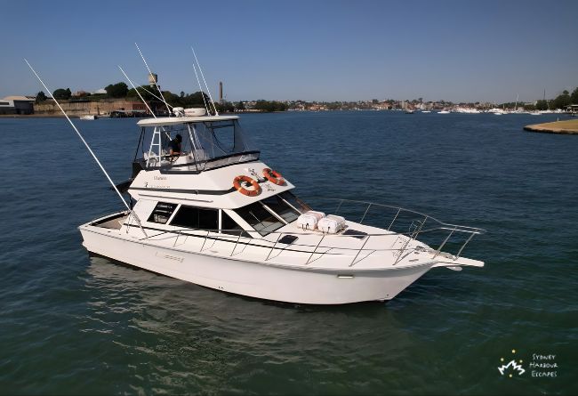 MV MAVERICK 3800 Markham Dominator Boat and Water Transfer Charter